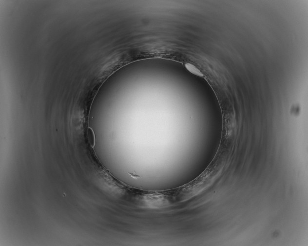 X0000100380279200806061226
