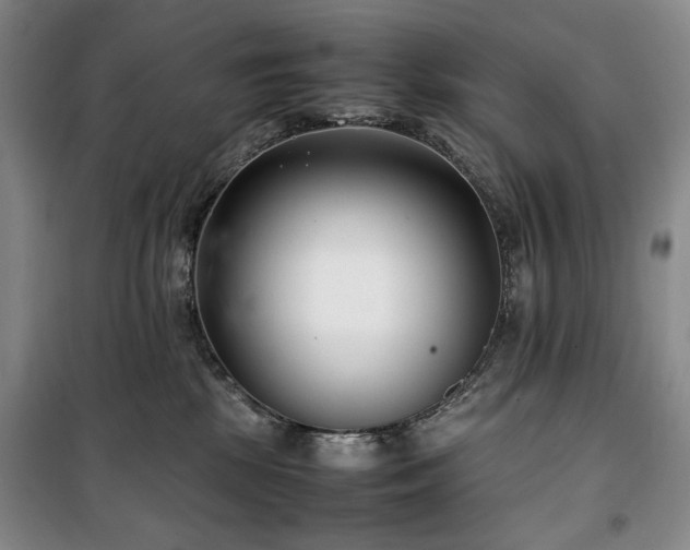 X0000100380281200806061226