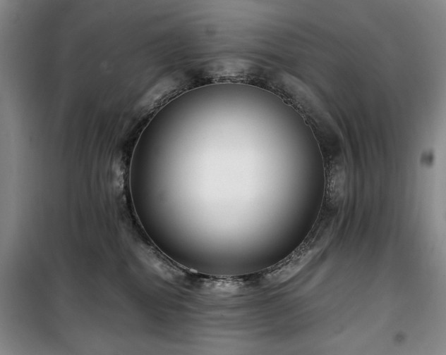 X0000100380282200806061226
