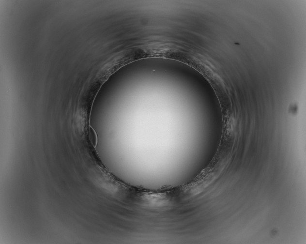 X0000100380283200806061226