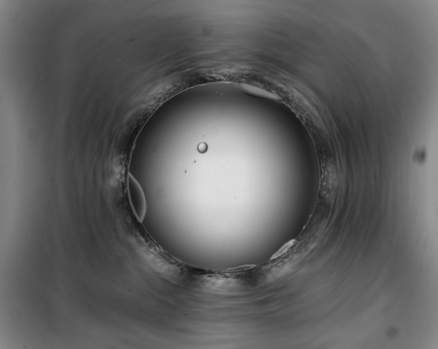 X0000100380284200806061226