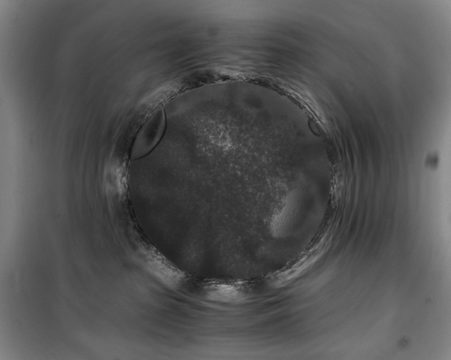 X0000100380285200806061226