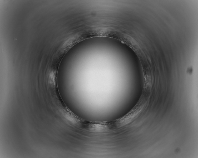 X0000100380286200806061226