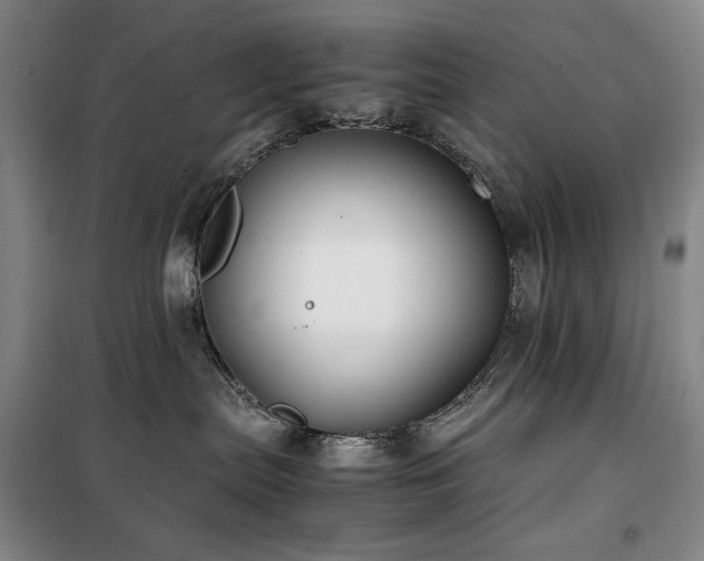 X0000100380287200806061226