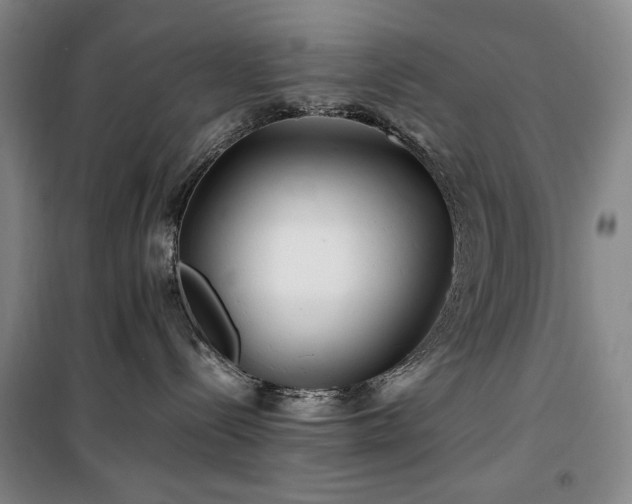 X0000100380288200806061226