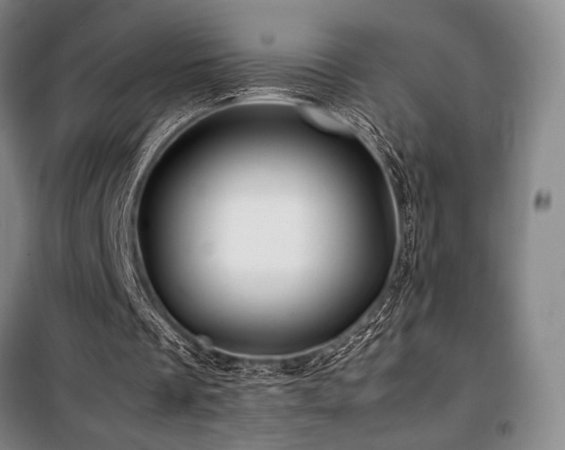 X0000100380289200806061225