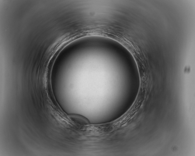 X0000100380290200806061225