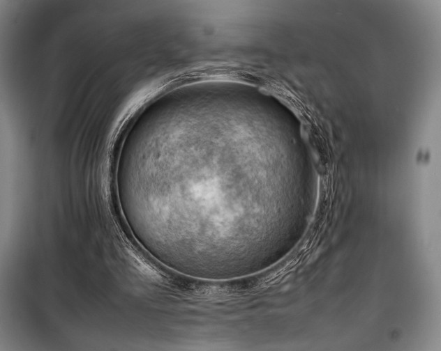 X0000100380293200806061225