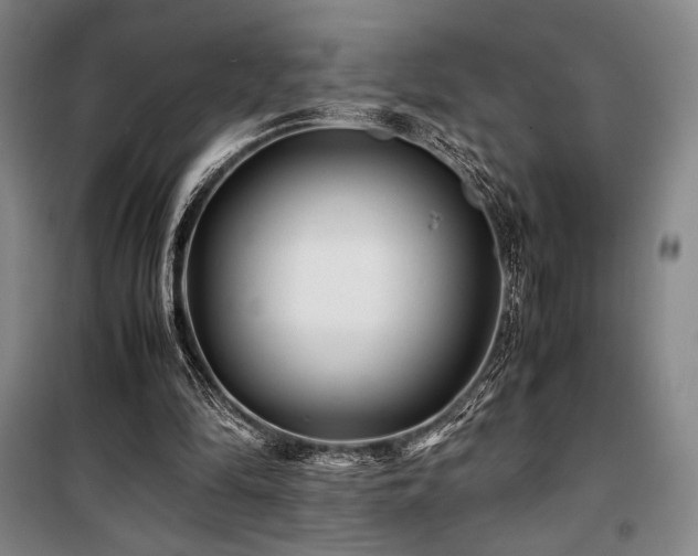 X0000100380294200806061225
