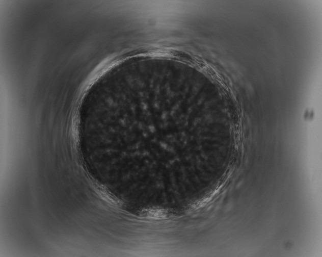 X0000100380295200806061225