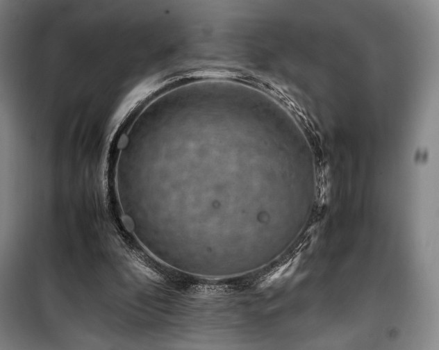 X0000100380296200806061225