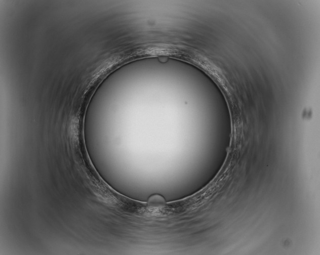 X0000100380297200806061225