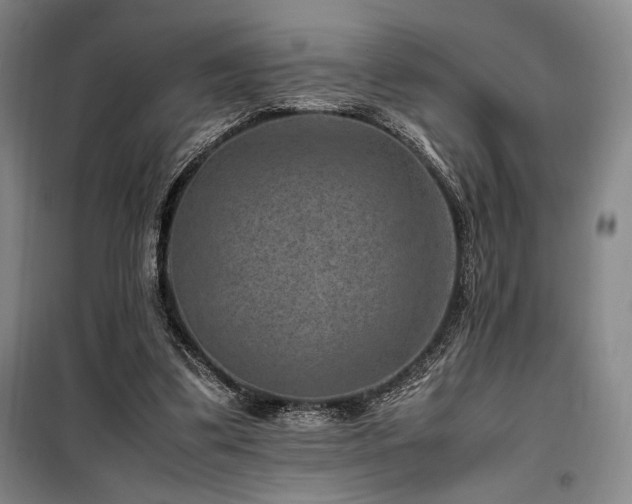 X0000100380299200806061225