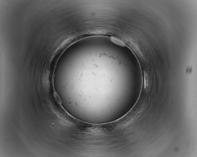 X0000100380300200806061225