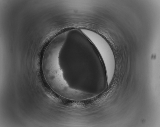 X0000100380303200806061225