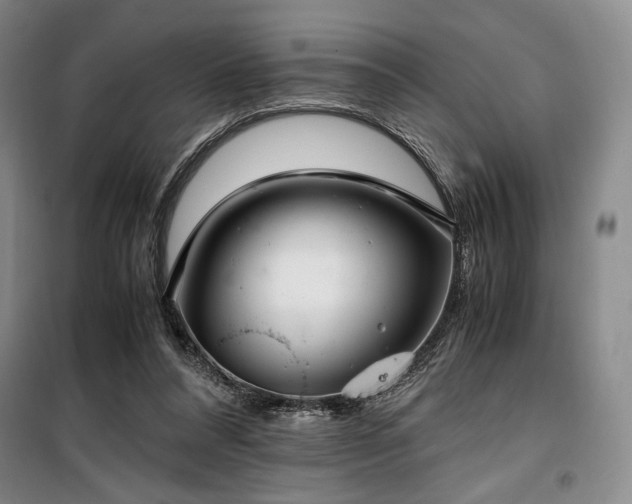 X0000100380304200806061225