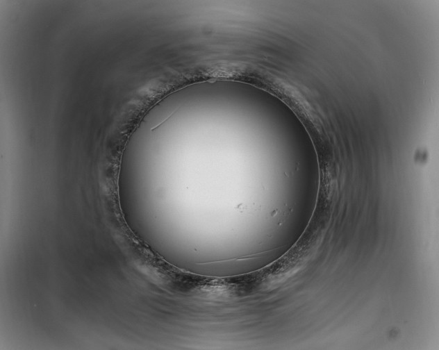 X0000100380307200806061225