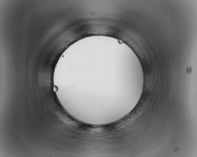 X0000100380309200806061225