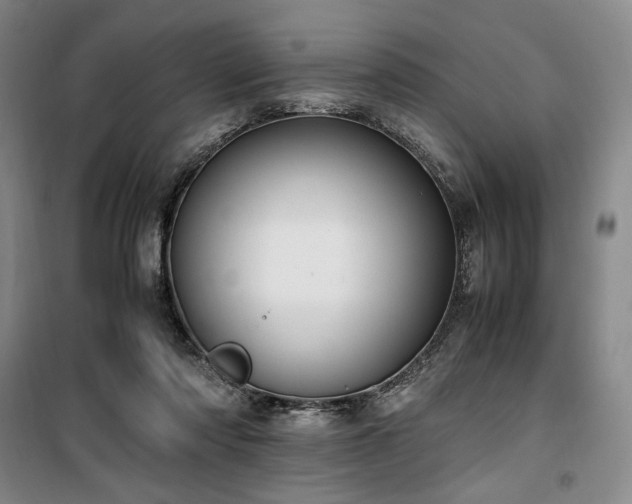 X0000100380310200806061225
