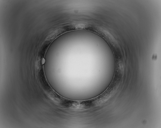 X0000100380311200806061225