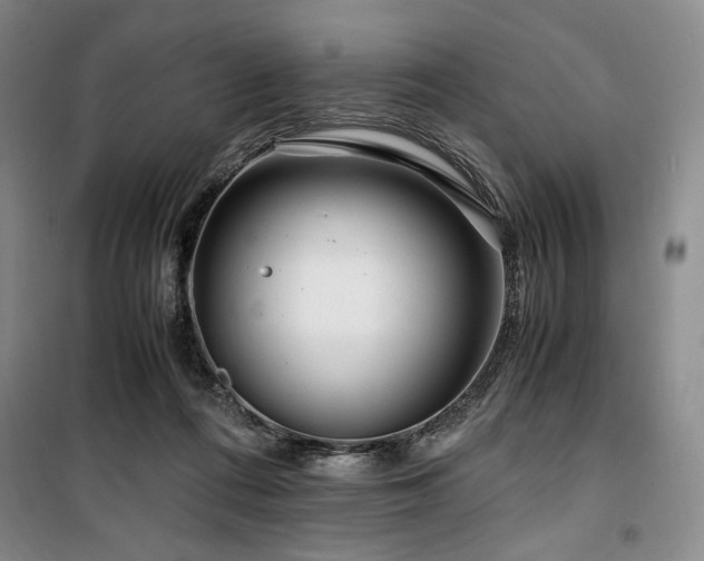 X0000100380312200806061225