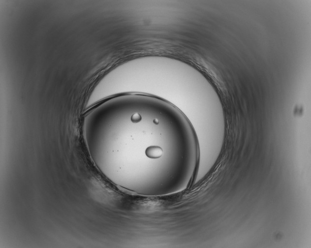 X0000100380313200806061225