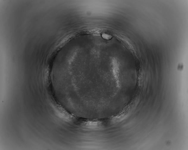 X0000100380314200806061225
