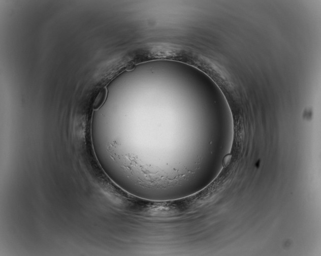 X0000100380315200806061225