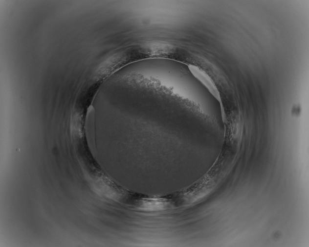 X0000100380316200806061225