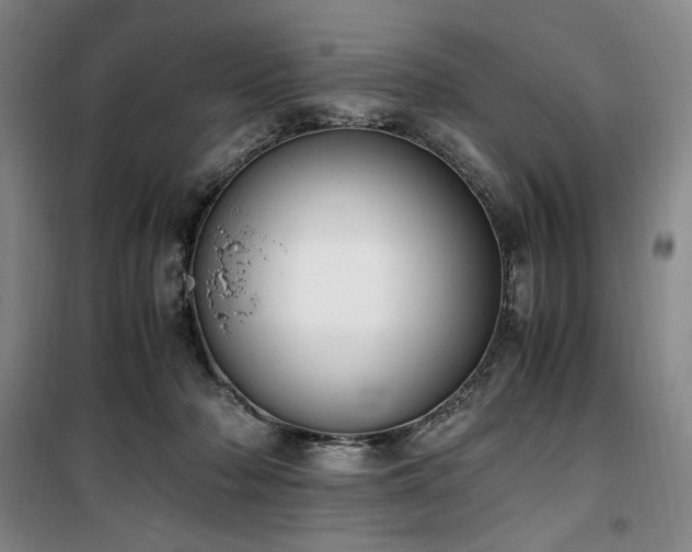 X0000100380318200806061225