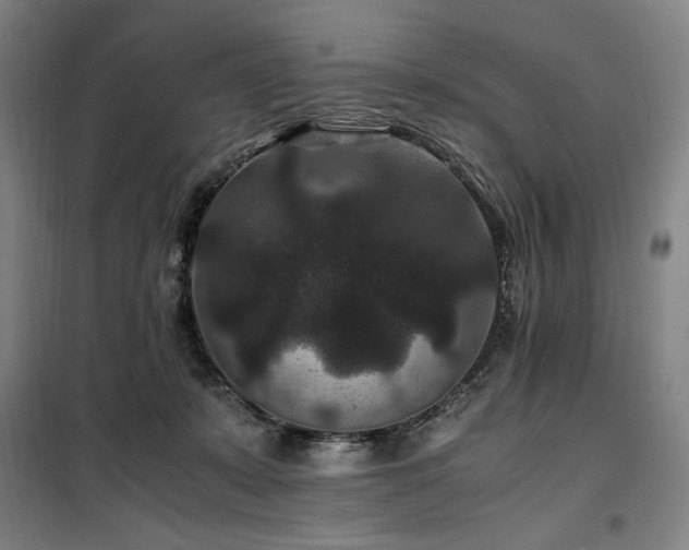 X0000100380319200806061225