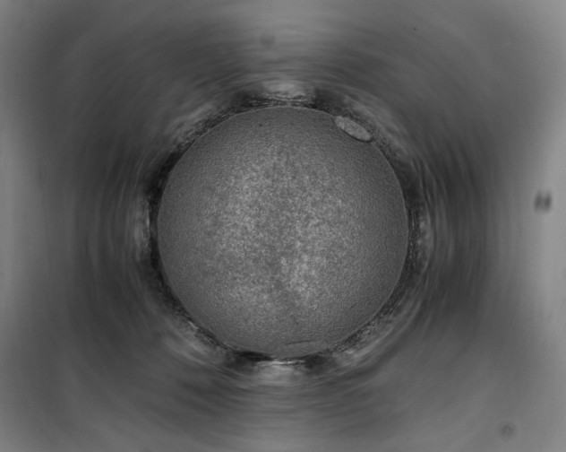 X0000100380320200806061225