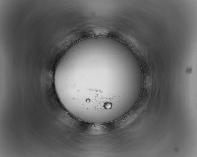 X0000100380321200806061225