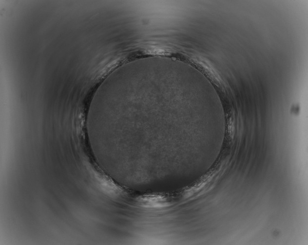 X0000100380322200806061225