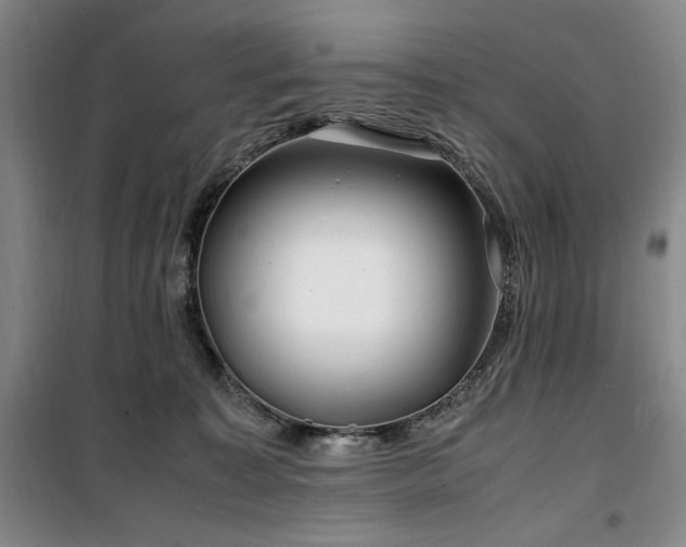 X0000100380323200806061225