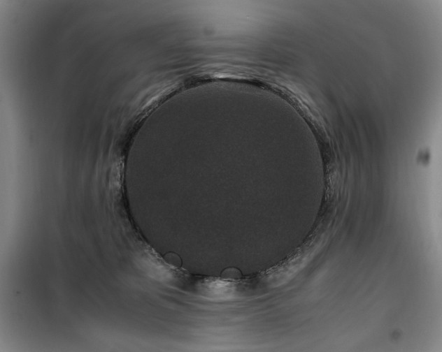 X0000100380325200806061224