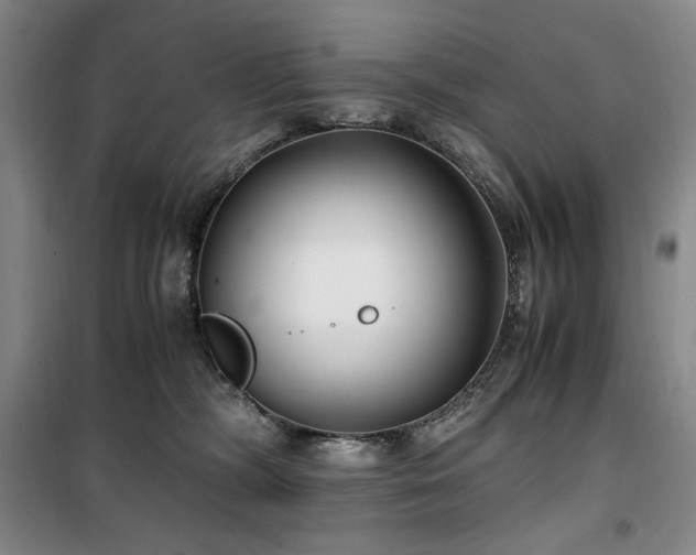 X0000100380326200806061224