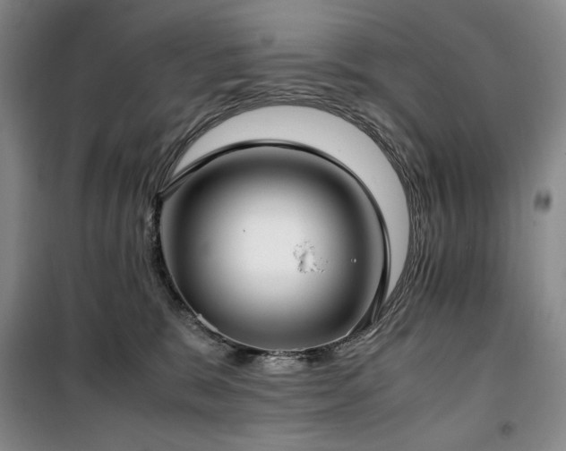 X0000100380327200806061224
