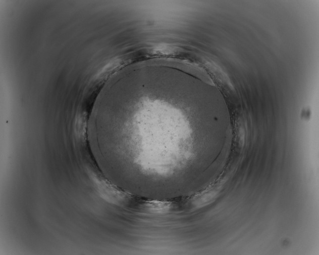 X0000100380328200806061224
