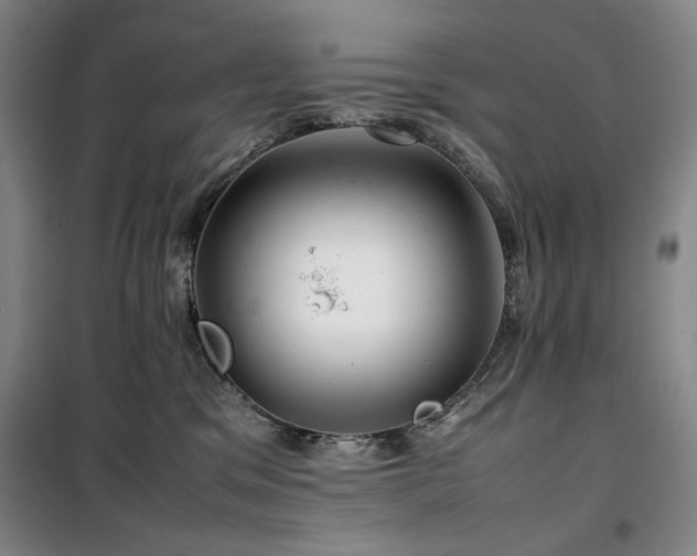 X0000100380329200806061224