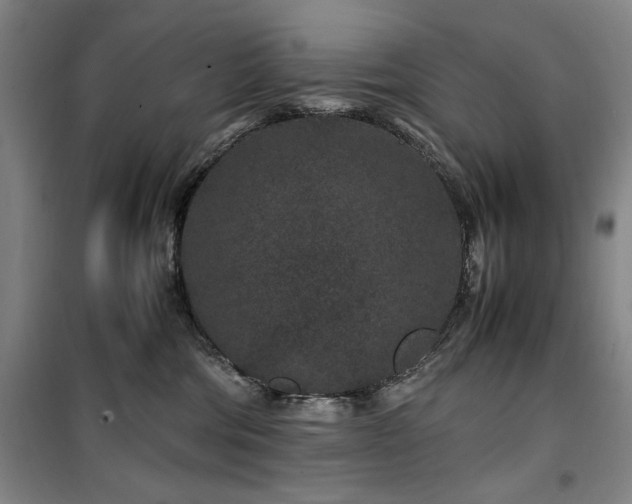 X0000100380330200806061224