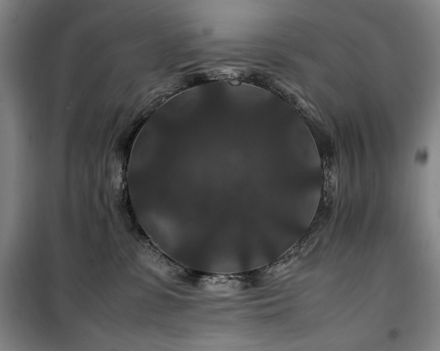 X0000100380331200806061224
