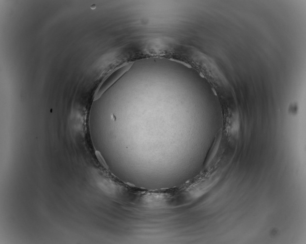 X0000100380332200806061224