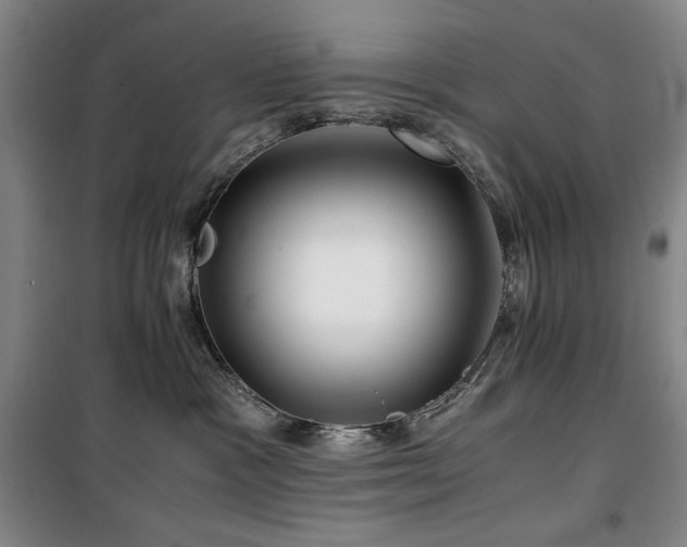 X0000100380333200806061224