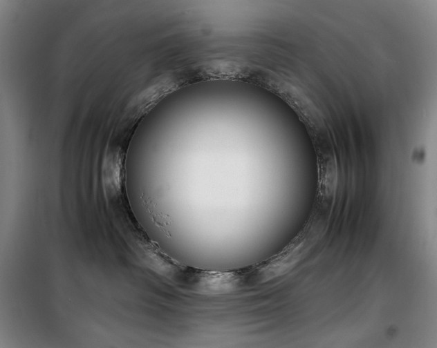 X0000100380334200806061224