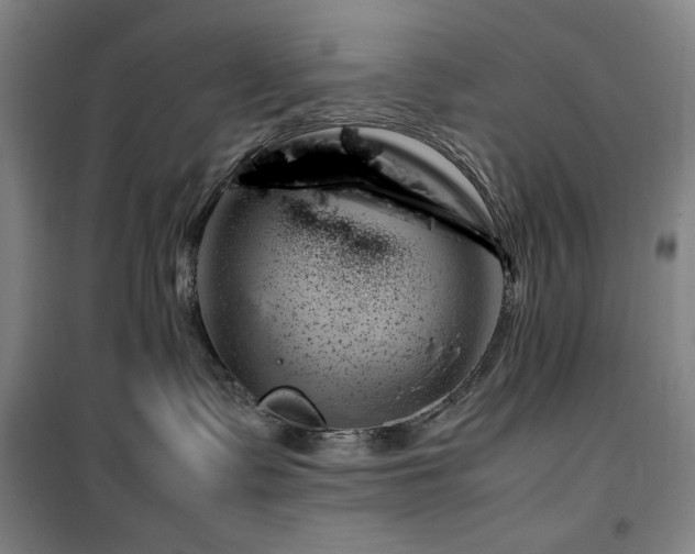 X0000100380335200806061224