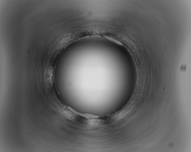 X0000100380336200806061224
