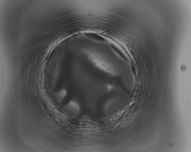 X0000100380337200806061223