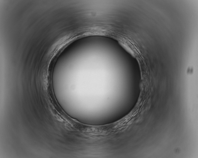 X0000100380338200806061223