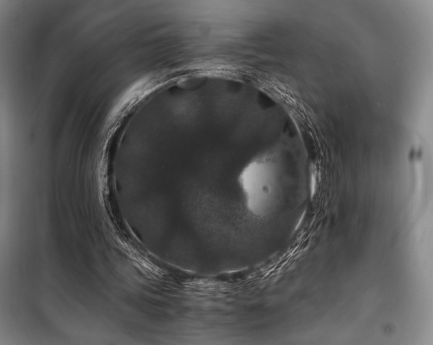 X0000100380339200806061223
